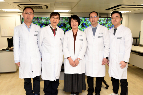 Led by Professors Jane Zhou Jie (middle) and Yuen Kwok-Yung (second left) from the Department of Microbiology, School of Clinical Medicine, HKUMed, the research team has successfully cultured the previously hard-to-grow human rhinovirus C (HRV-C) using their self-developed ‘human respiratory organoids (mini-organs)’.